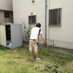 zero-e BASEがピッカ…