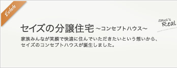 セイズの分譲住宅～コンセプトハウス～