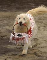 20090415-00000012-spnavi_ot-base-thum-000