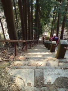 20090203144219
