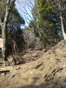 20090203144230