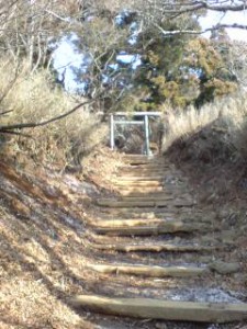 20090203144308