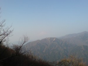 20090203144341