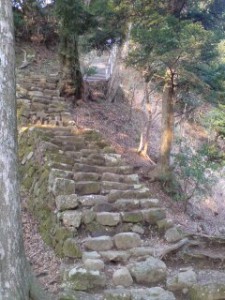 200902031449133