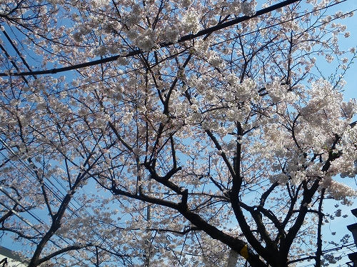 imgp0115-s