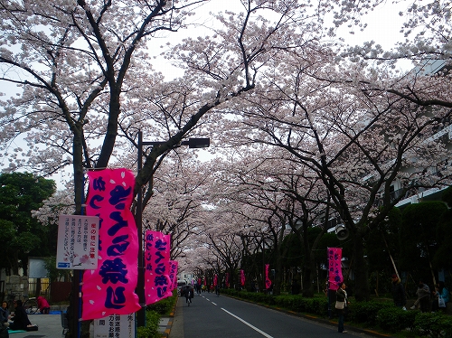 imgp0121-s