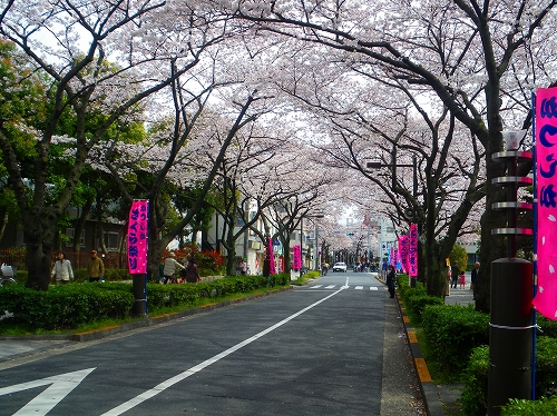 imgp0123-s