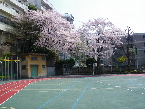 imgp0143-s
