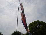 imgp0201s