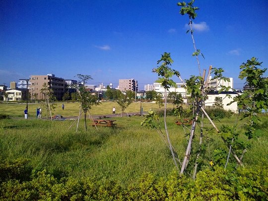 090907_0735381-s
