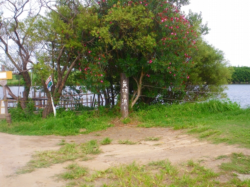 IMGP0517-s