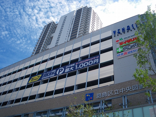 IMGP0590-s