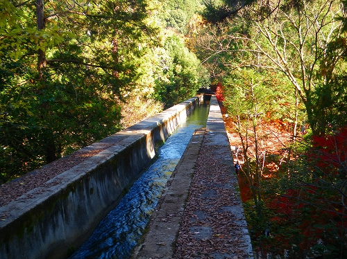 IMGP0710-s