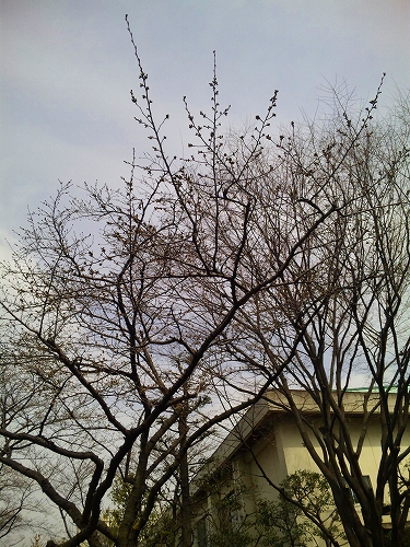 100318_1039291-s