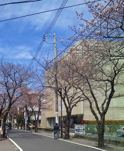 100327_1234331-s