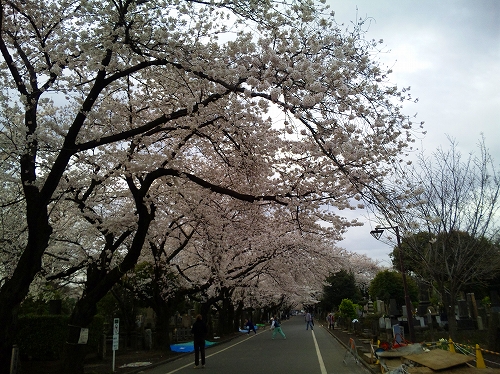 100403_063434-s