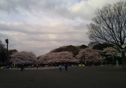 100403_065143-s