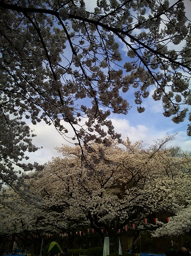 100403_065304-s
