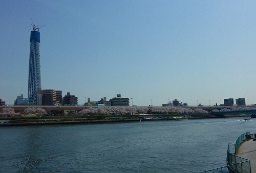 P1430172-s