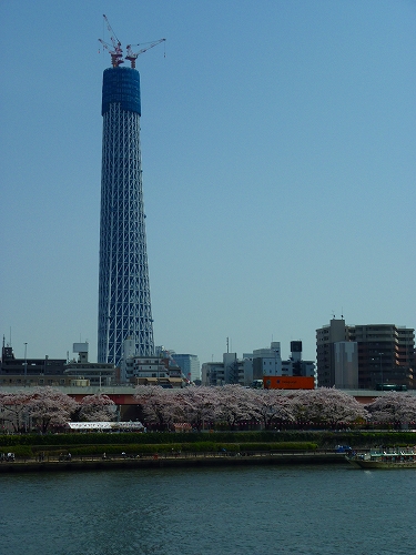P1430175-s