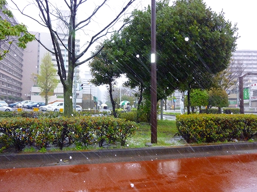 P1430338-s