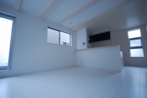 e794bbe5838f-019