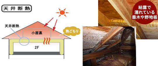 天井断熱