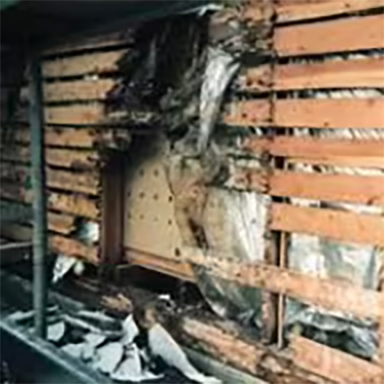 結露の水分によって腐朽菌が発生し、柱や土台を腐らせ、建物の寿命を縮めます。