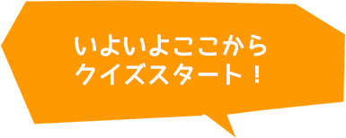 いよいよここからクイズスタート!