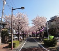 【東立石のコミュニティ通りに新分譲地!】完全予約制現地案内会開催♪