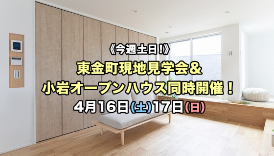 【今週土日】未公開物件現地見学会＆小岩オープンハウス開催！