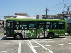 セイズバス！！