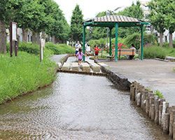 曳舟川親水公園