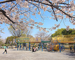 上千葉砂原公園