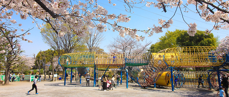 上千葉砂原公園